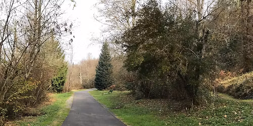 Walking Meditation