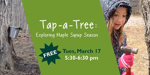 Tap-A-Tree: Exploring Maple Syrup Season