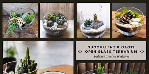 Open Glass Terrarium - Succulents & Cacti 