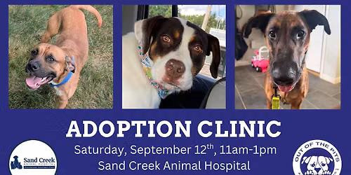 OOTP Adoption Clinic