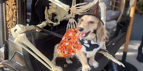 2nd Annual Hallo-Weenie Walk