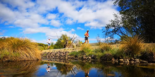 Best Dam Backyard Ultra
