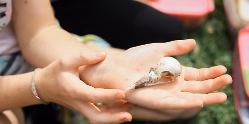 Nature Connection for Families, Day 2: The Book of Nature (age 8+)