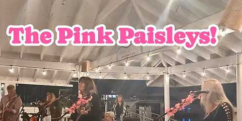 Pink Paisleys Take Over Mavi