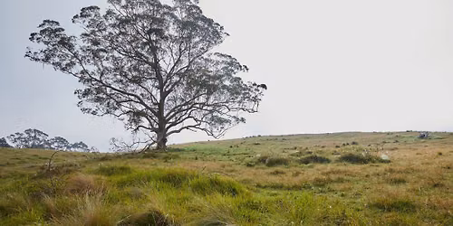 Tour Walawaani Way: Discover Conservation Burial