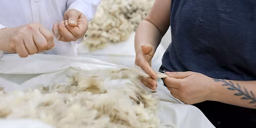 Fibershed Community Shearing Day