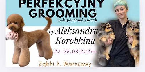 PERFEKCYJNY GROOMING by Aleksandra Korobkina