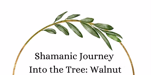 Journeying Into the Tree: Walnut