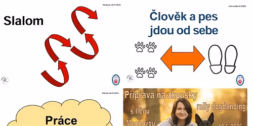 Intenzivn\u00ed tr\u00e9nink na zkou\u0161ky Rally dogdancing s Il\u010dou Machovou