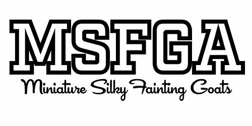 Great Lakes MSFG Show