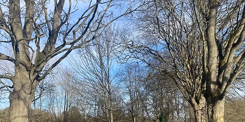 Tyne green Christmas walk (pram friendly)