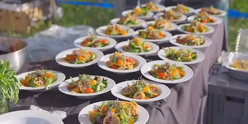 Plants 2 Table | 7th Annual BENEFIT + UPDATE