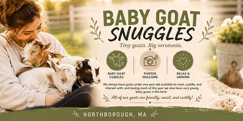 Baby Goat Cuddles