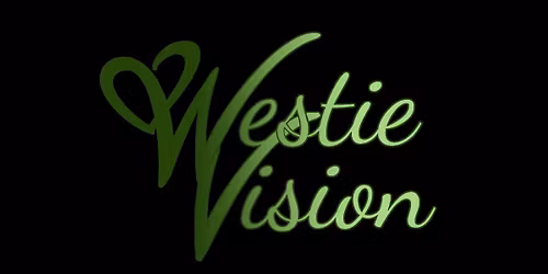 WEST COAST SWING Forts\u00e4ttning Medel