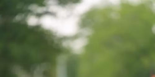 NASA AREA COMPANION DOG ALL BREED AKC FASTCAT November 22 & 23, 2025