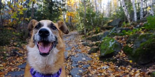 Urodzinowy Spacer Szyszki