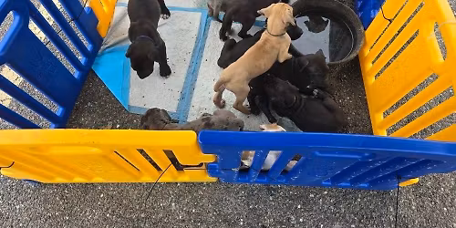 Come see us macclenny winn dixie parking lot