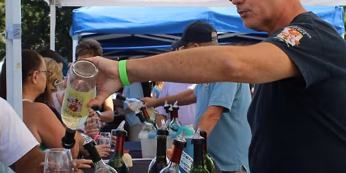 Yadkin Valley Grape Festival