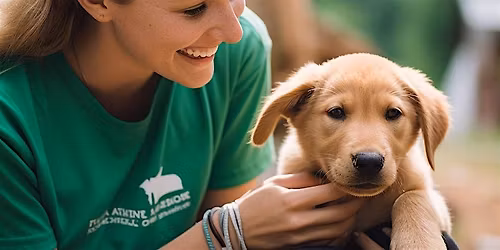 Animal Control and Shelter