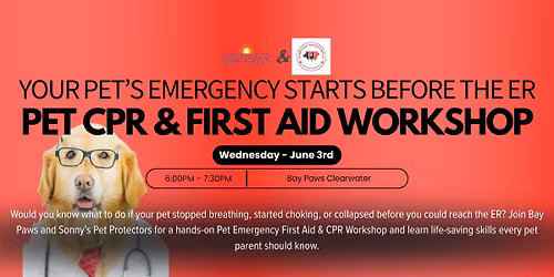 Clearwater - Pet Emergency First Aid & CPR Workshop