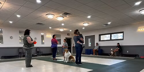 Junior handler Obedience & Showmanship 6-Week Class