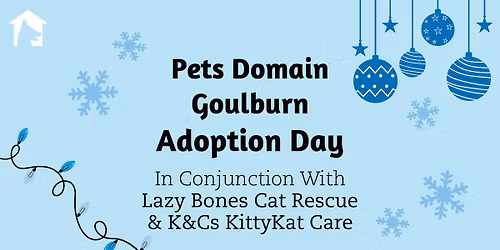 Adoption Day | Lazy Bones Cat Rescue and K&Cs KittyKat Care