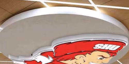 Air Force Academy Falcons at Sacred Heart Pioneers Mens Hockey at Martire Family Arena