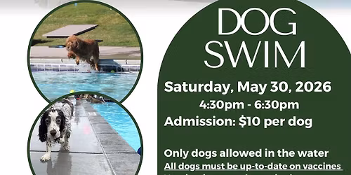 Dog Swim Day