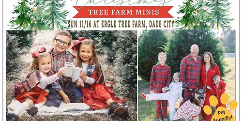 Ergle Christmas Tree Farm Mini Sessions