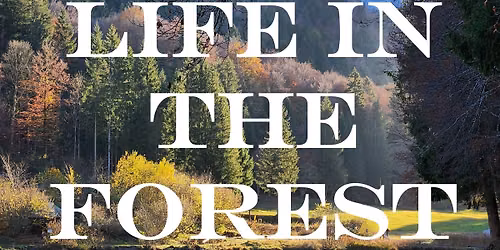 Life in the Forest- Guided Nature Walk @ Oshtemo Township Park