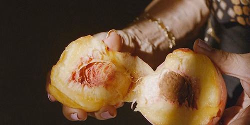 Image Readings: Alicia Vera