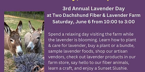 Don\u2019t Worry; Be Purple: 3rd Annual Lavender Day @ Two Dachshund Fiber & Lavender Farm