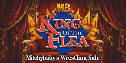 Mitchy\u2019s WWE figure sale over 300 figures plus more 