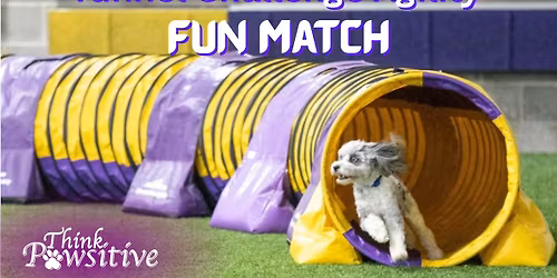 Tunnel Challenge Agility Fun Match