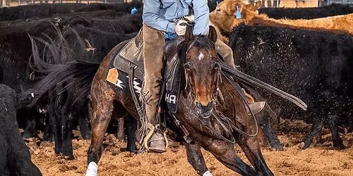 NCHA October Challenger Show