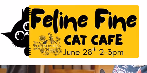 Feline Fine Cat Café — 117 W. Fairview Ave, Johnson City, TN, United States, Tennessee 37604