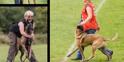 Corinne Wrend **UNLOCK THE POWER OF REWARDS**