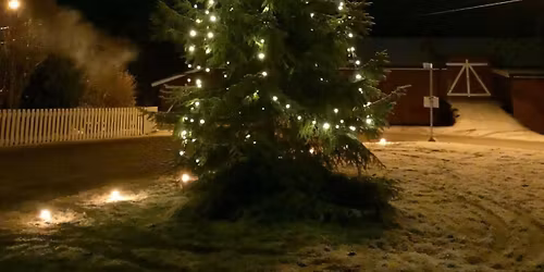 JULEGRANTENNING 2025\ud83c\udf84