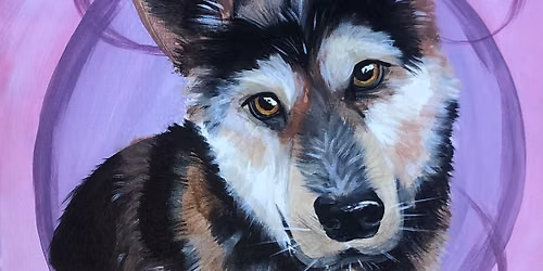 Paint Your Pet