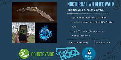 Nocturnal Wildlife Walk