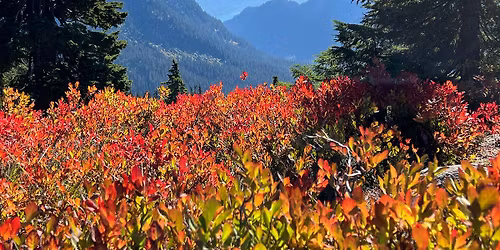 Take What You Need: Songs That Carry Us Home