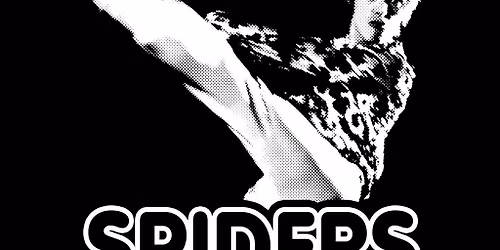 SPIDERS ON MARS Tribute to David Bowie