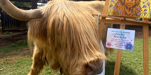 Paint & Sip At Spring Haven Farm