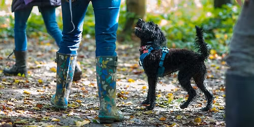 Rainbow Pooch in the Park (Birmingham) - \ud83c\udf84PAW-MAS CELEBRATION\ud83c\udf84