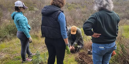 Gonzales Canyon Habitat Restoration