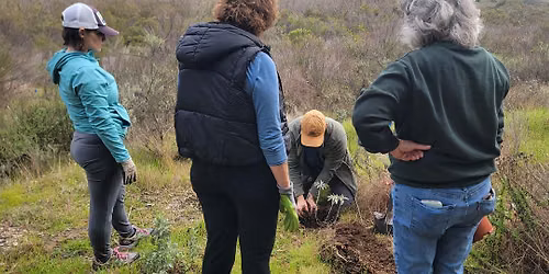 Gonzales Canyon Habitat Restoration