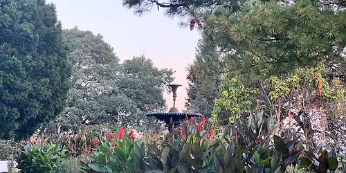 Spring Clean Up Day at Longview Park! 