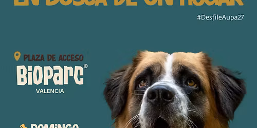 27o Desfile de Perros en busca de un hogar AUPA & Bioparc Valencia