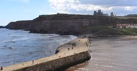 FIRST LOBSTER RELEASE OF THE SEASON!