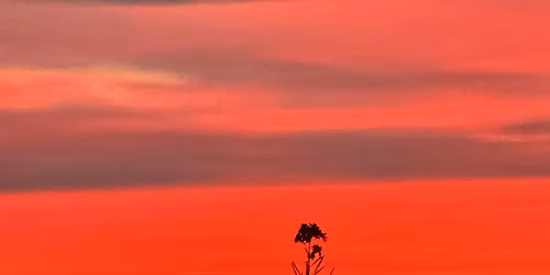 Healing Group Fairbanks